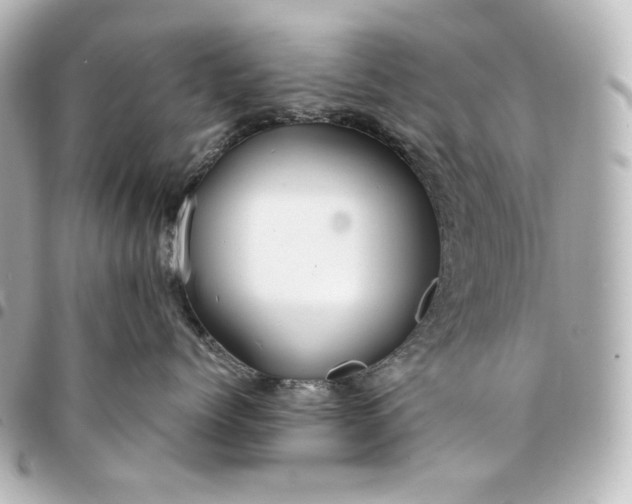 X0000095520768200712281500