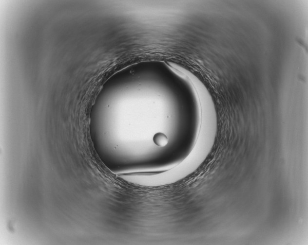 X0000095520769200712281459