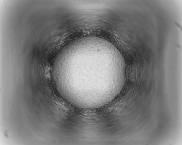 X0000095520770200712281459