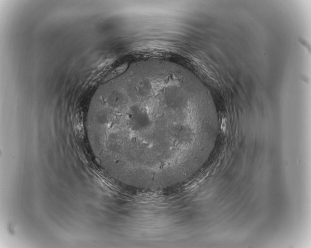 X0000095520771200712281459