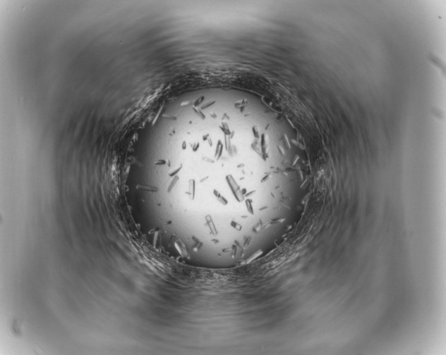 X0000095520772200712281459