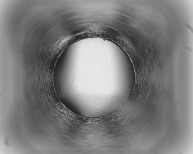 X0000095520773200712281459