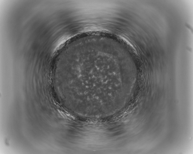 X0000095520775200712281459