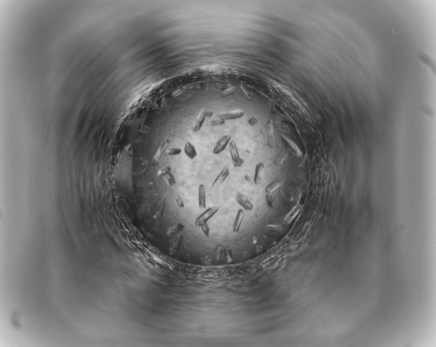 X0000095520776200712281459