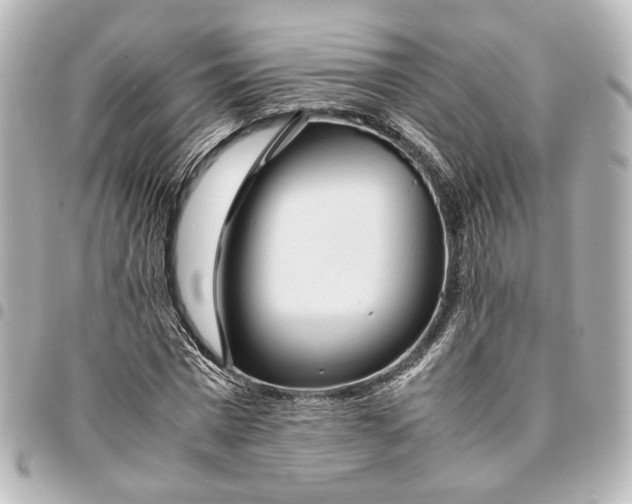 X0000095520777200712281459