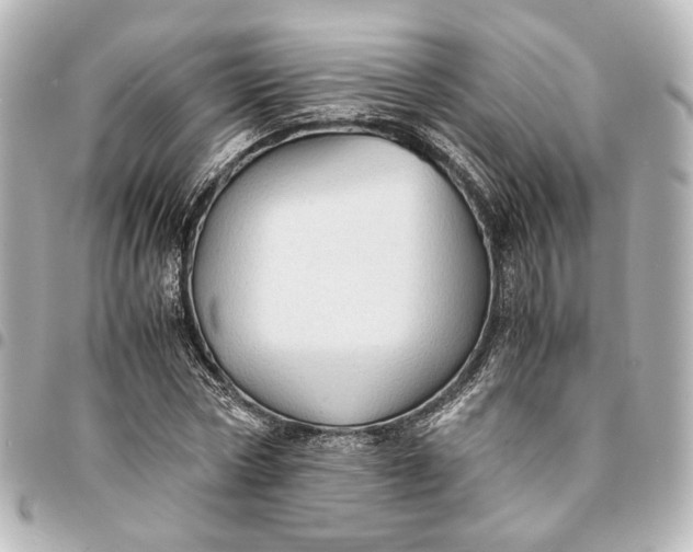 X0000095520778200712281459