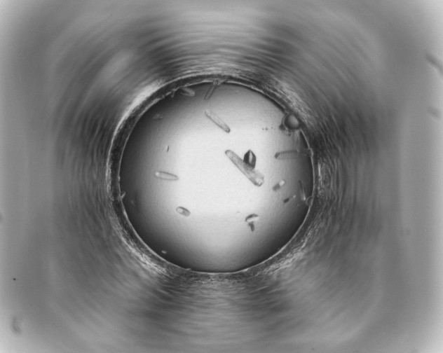 X0000095520780200712281459