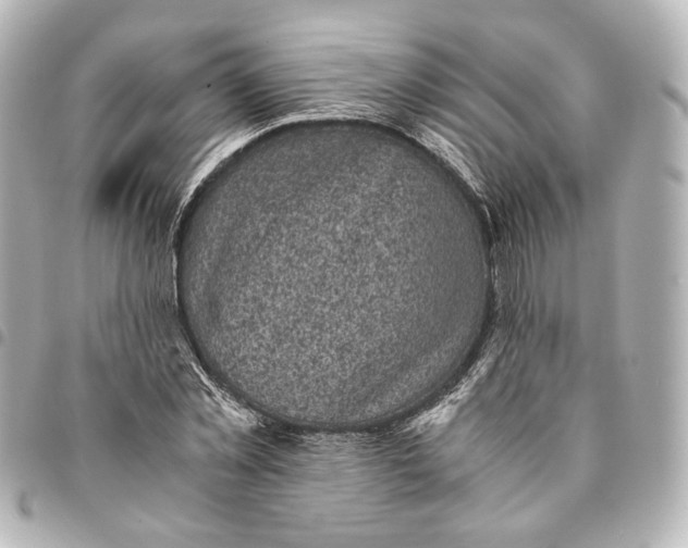 X0000095520781200712281459