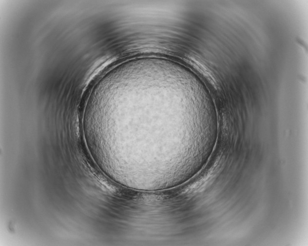 X0000095520782200712281459