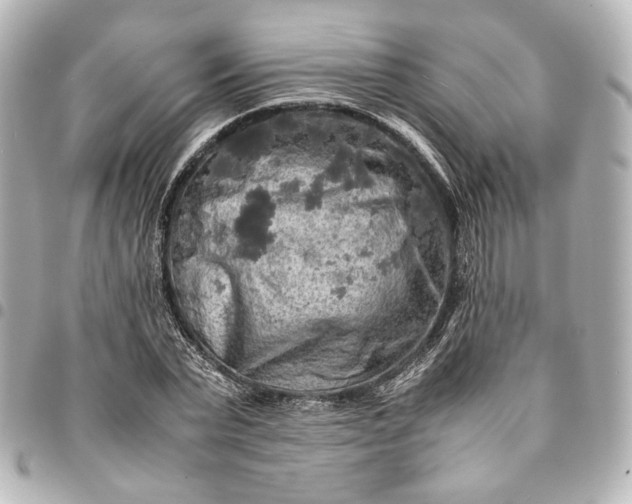 X0000095520783200712281459