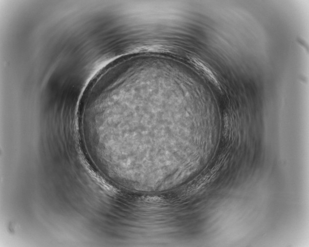 X0000095520784200712281459