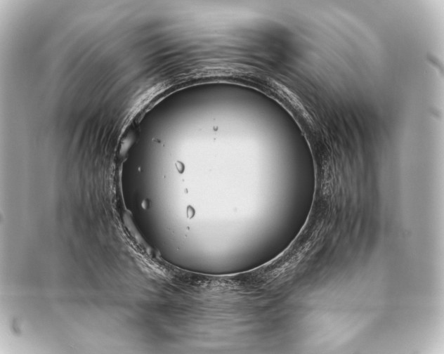 X0000095520786200712281459