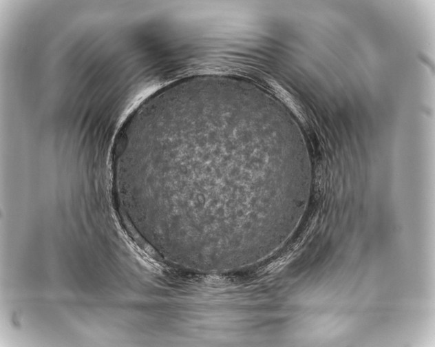 X0000095520787200712281459