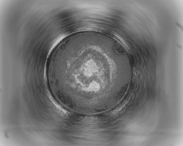 X0000095520788200712281459