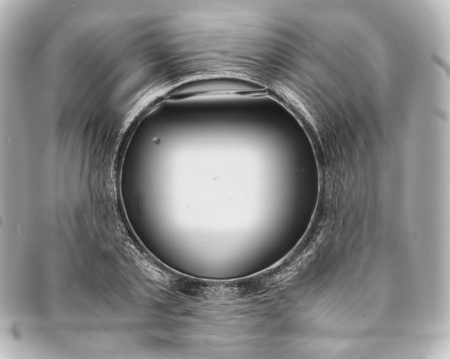 X0000095520789200712281459