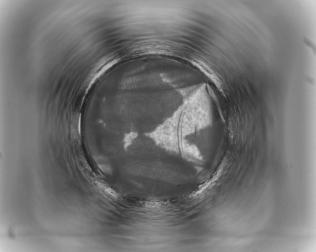 X0000095520790200712281459