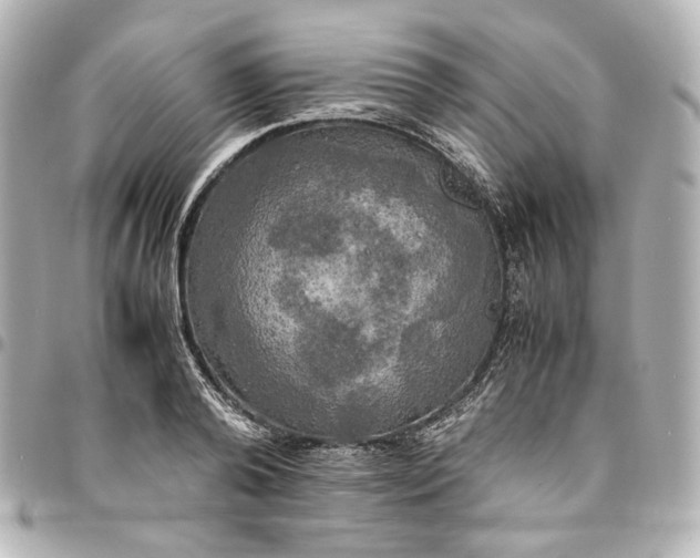 X0000095520792200712281459