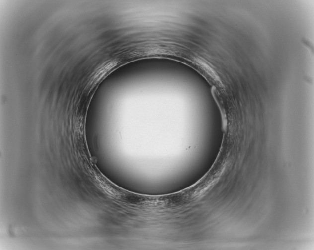 X0000095520793200712281459