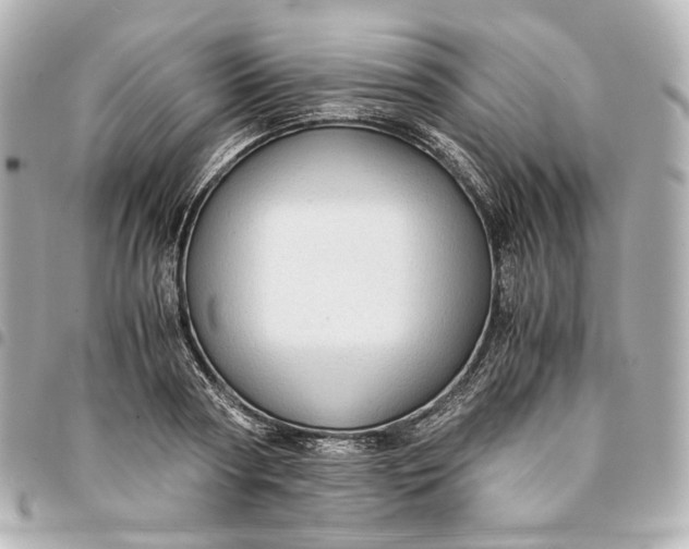 X0000095520794200712281459