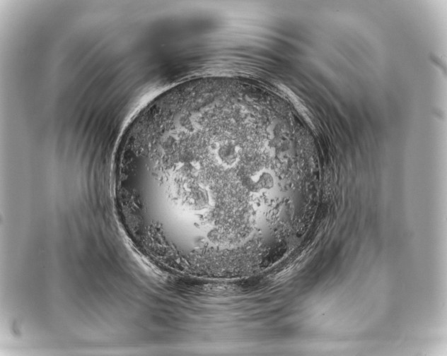 X0000095520795200712281459