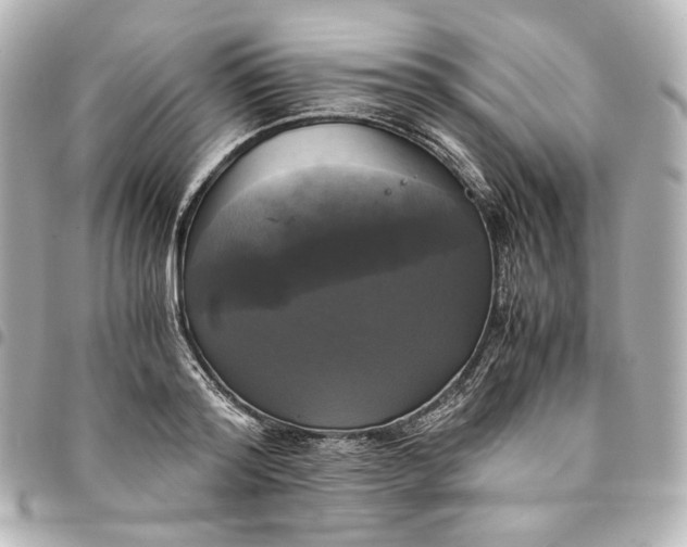 X0000095520796200712281459