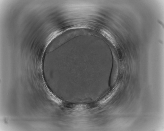 X0000095520797200712281459