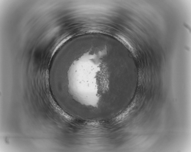 X0000095520798200712281459