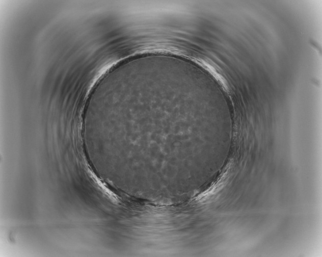 X0000095520799200712281459