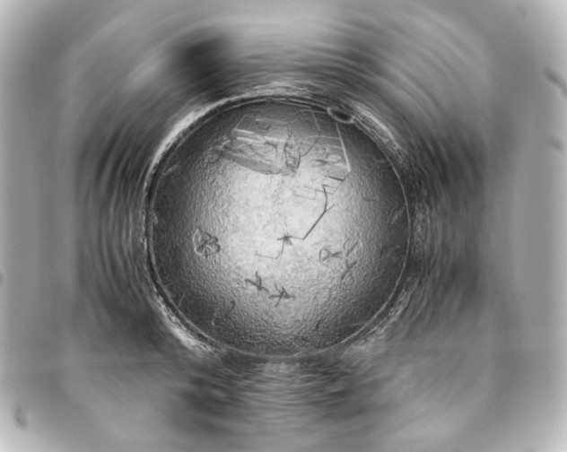 X0000095520800200712281459