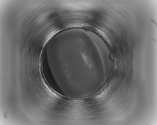 X0000095520802200712281459