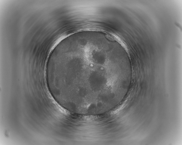 X0000095520803200712281459