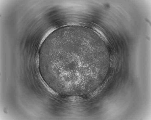 X0000095520804200712281459