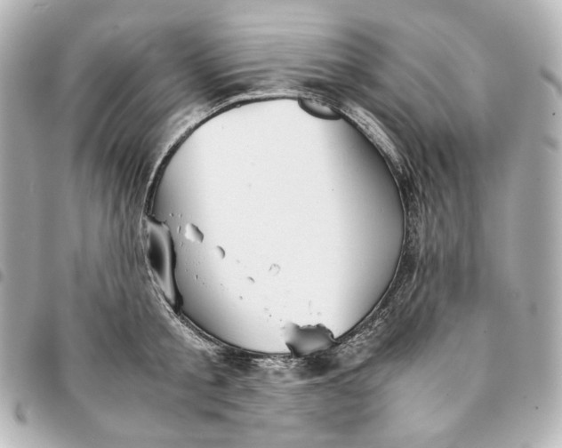 X0000095520805200712281459