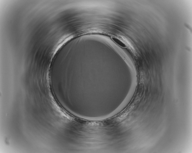 X0000095520806200712281459