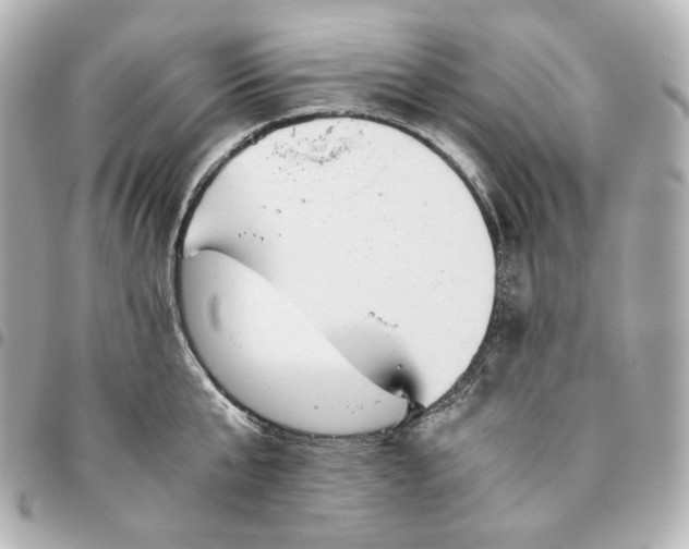 X0000095520807200712281459