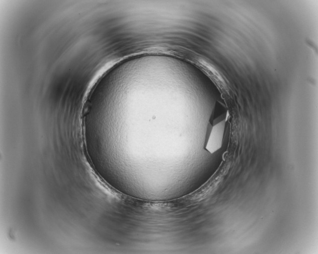 X0000095520808200712281459