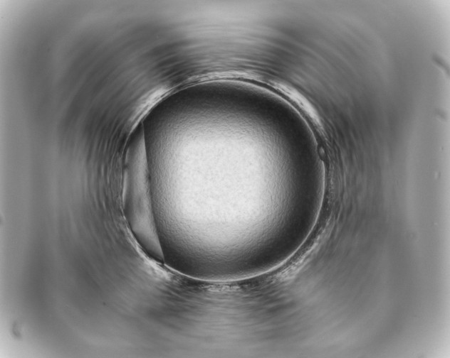 X0000095520809200712281459