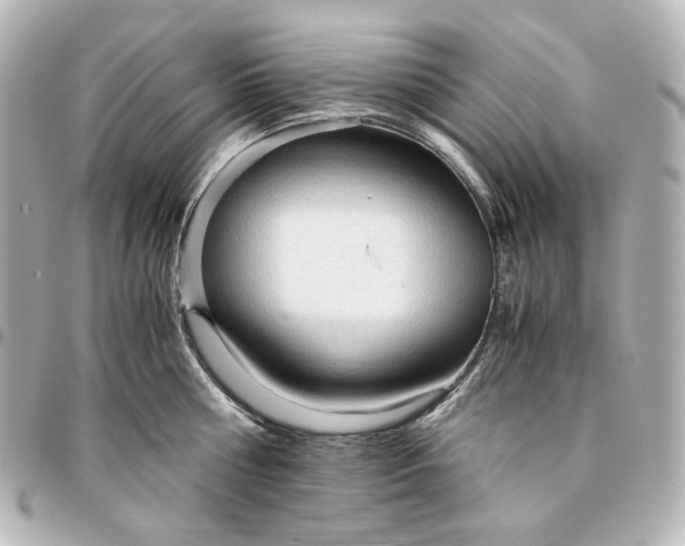 X0000095520810200712281459