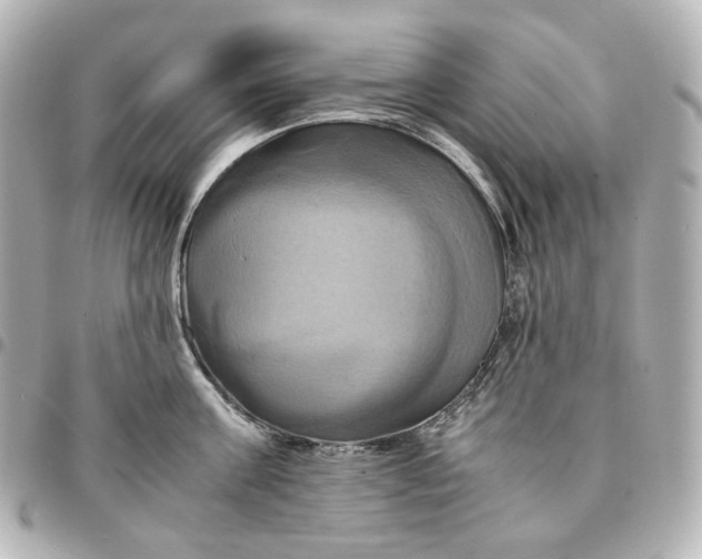 X0000095520811200712281459