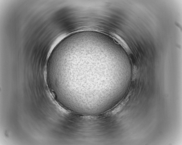 X0000095520812200712281459