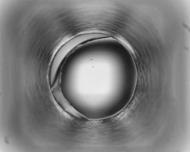 X0000095520813200712281459