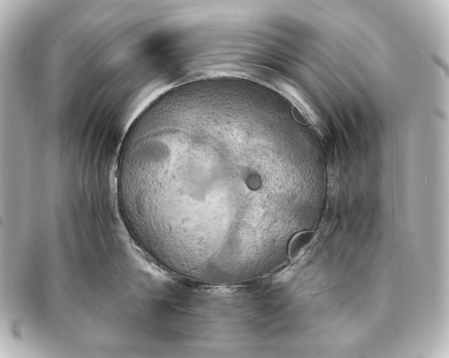 X0000095520814200712281459