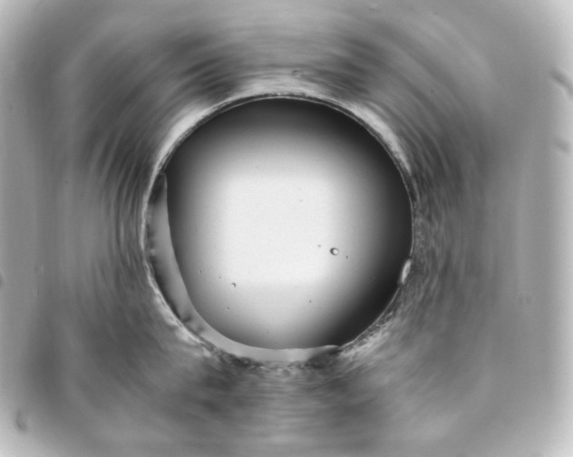 X0000095520815200712281459