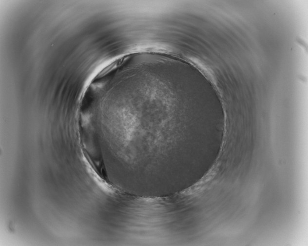 X0000095520816200712281459