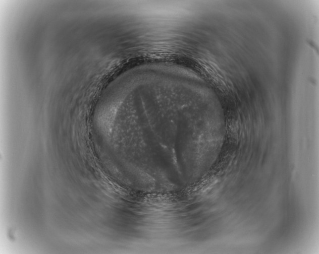 X0000095520817200712281458