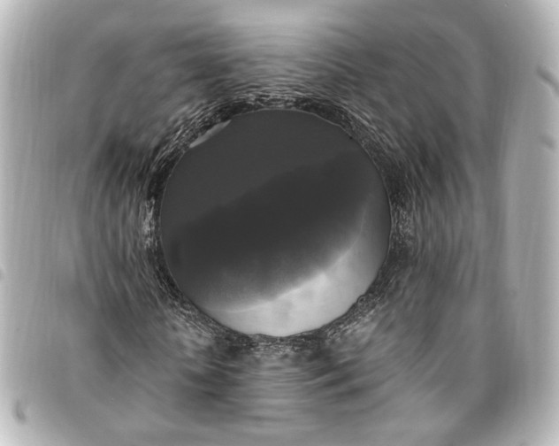 X0000095520818200712281458