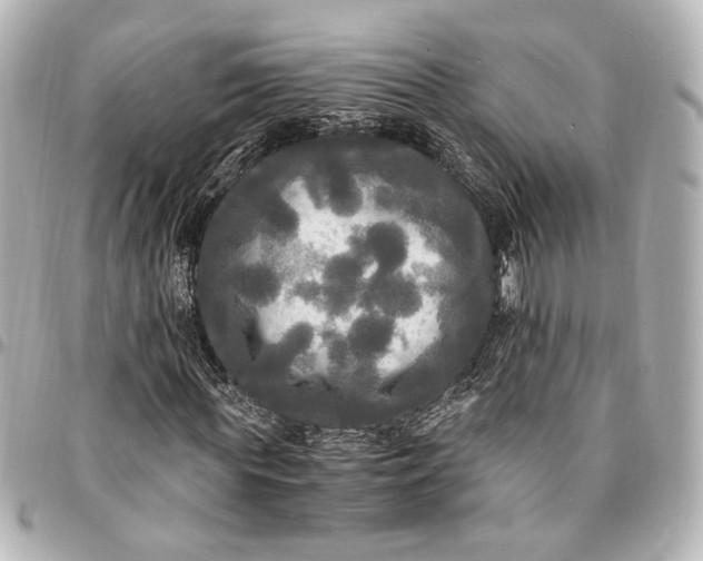 X0000095520819200712281458