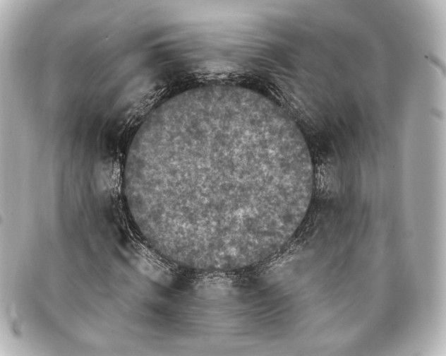 X0000095520820200712281458