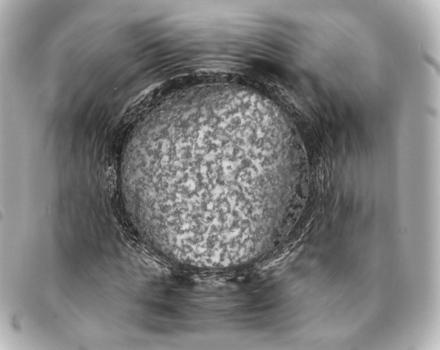 X0000095520821200712281458