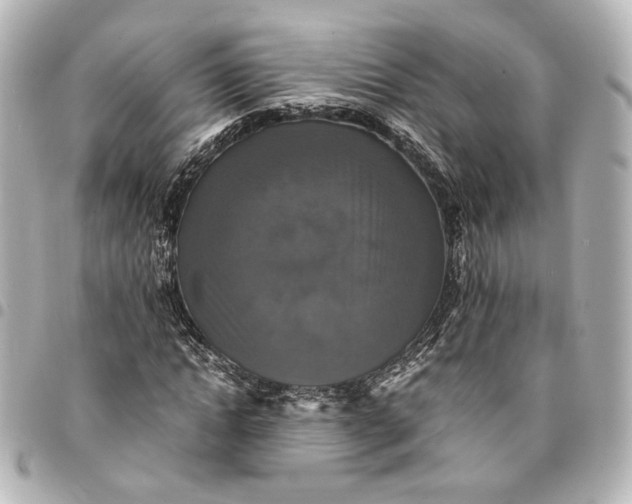 X0000095520822200712281458